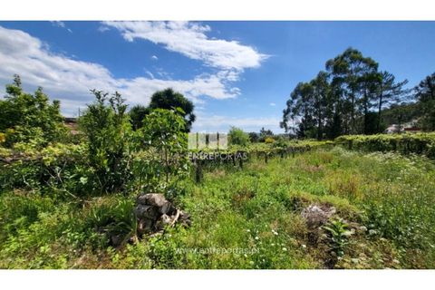 Villa i Viana do Castelo, Viana do Castelo, Viana do Castelo - € 320.000 | Ref: VCM14375 - foto 14