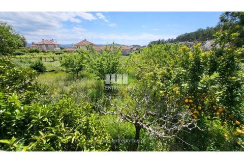 Villa i Viana do Castelo, Viana do Castelo, Viana do Castelo - € 320.000 | Ref: VCM14375 - foto 15