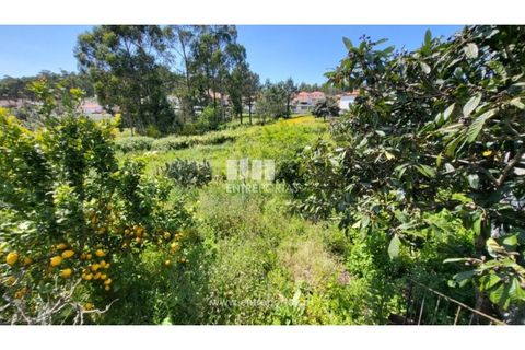 Villa i Viana do Castelo, Viana do Castelo, Viana do Castelo - € 320.000 | Ref: VCM14375 - foto 16