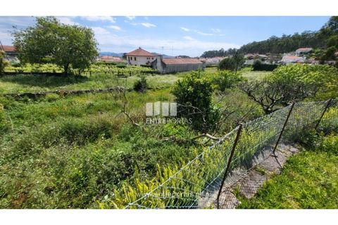 Villa i Viana do Castelo, Viana do Castelo, Viana do Castelo - € 320.000 | Ref: VCM14375 - foto 23