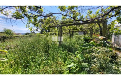 Villa i Viana do Castelo, Viana do Castelo, Viana do Castelo - € 320.000 | Ref: VCM14375 - foto 25