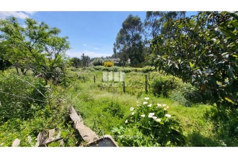 Villa i Viana do Castelo, Viana do Castelo, Viana do Castelo - € 320.000 | Ref: VCM14375 - foto 27