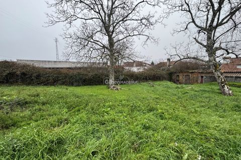 Villa a Vila Real, Vila Real, Vila Real - € 76.000 | Ref: 25-1070 - foto 10