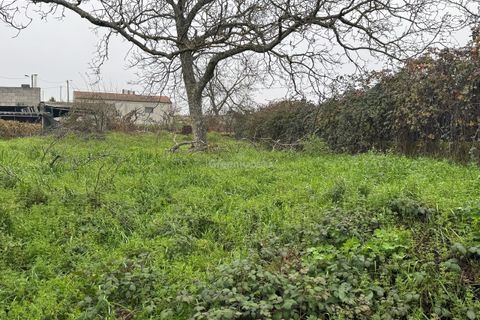 Villa a Vila Real, Vila Real, Vila Real - € 76.000 | Ref: 25-1070 - foto 14