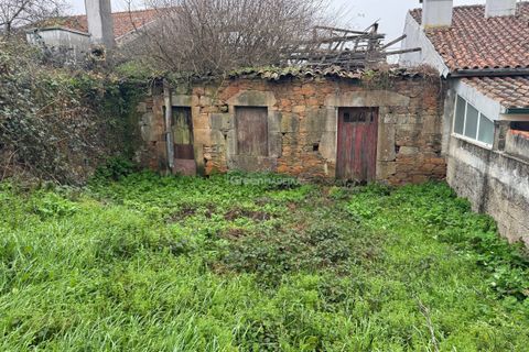 Villa a Vila Real, Vila Real, Vila Real - € 76.000 | Ref: 25-1070 - foto 20