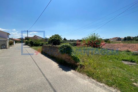 Helårsgrund i Anadia, Aveiro, Anadia - € 17.000 | Ref: T-28668 - foto 1