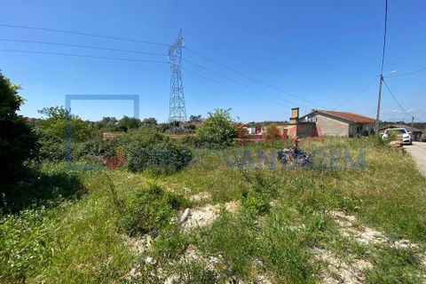 Helårsgrund i Anadia, Aveiro, Anadia - € 17.000 | Ref: T-28668 - foto 3