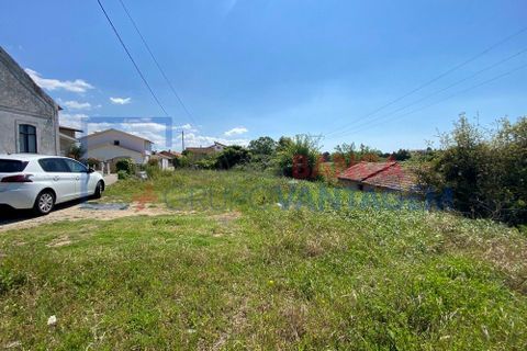 Helårsgrund i Anadia, Aveiro, Anadia - € 17.000 | Ref: T-28668 - foto 2