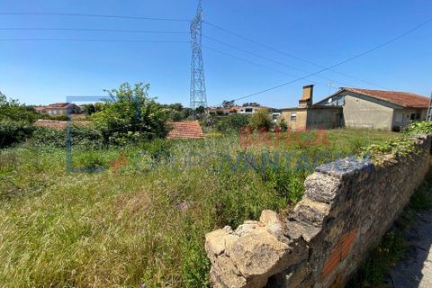 Helårsgrund i Anadia, Aveiro, Anadia - € 17.000 | Ref: T-28668 - foto 4