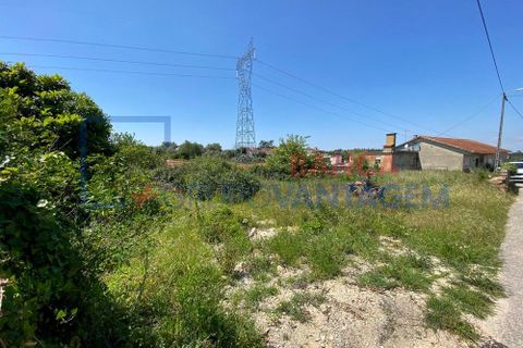 Helårsgrund i Anadia, Aveiro, Anadia - € 17.000 | Ref: T-28668 - foto 6