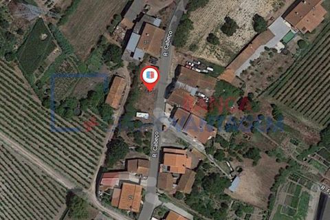 Helårsgrund i Anadia, Aveiro, Anadia - € 17.000 | Ref: T-28668 - foto 7