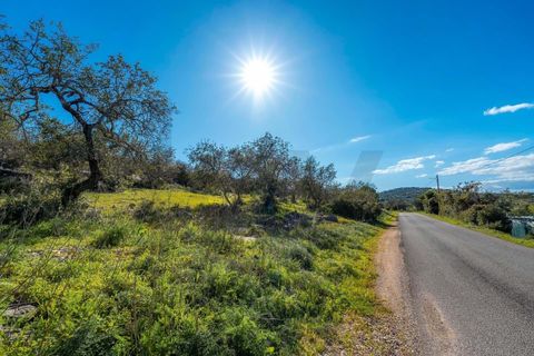 Helårsgrund i Conceicao e Estoi, Faro, Conceicao e Estoi - € 49.500 | Ref: KWPT-014091 - foto 8