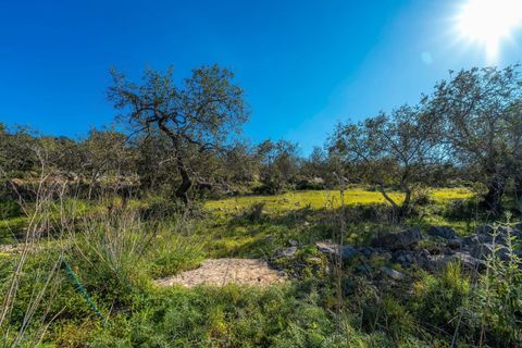 Helårsgrund i Conceicao e Estoi, Faro, Conceicao e Estoi - € 49.500 | Ref: KWPT-014091 - foto 13