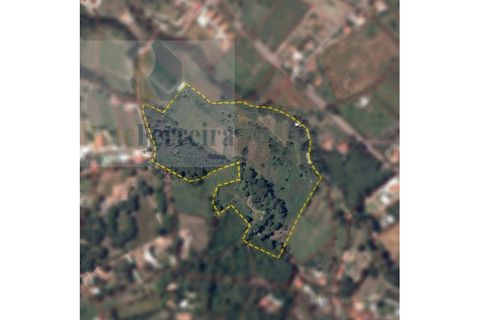 Helårsgrund i Sintra, Lisbon, Sintra - € 600.000 | Ref: RF-09-01/2025 - foto 1