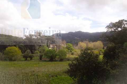 Helårsgrund i Sintra, Lisbon, Sintra - € 600.000 | Ref: RF-09-01/2025 - foto 4