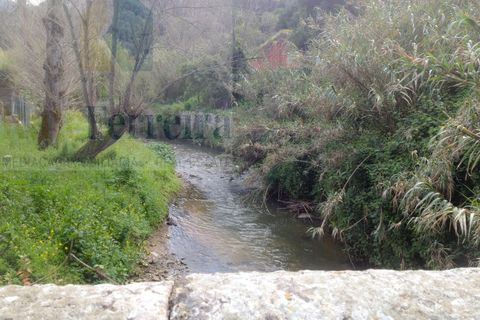 Helårsgrund i Sintra, Lisbon, Sintra - € 600.000 | Ref: RF-09-01/2025 - foto 5