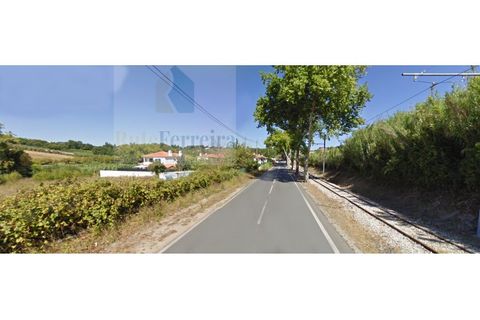 Helårsgrund i Sintra, Lisbon, Sintra - € 600.000 | Ref: RF-09-01/2025 - foto 6