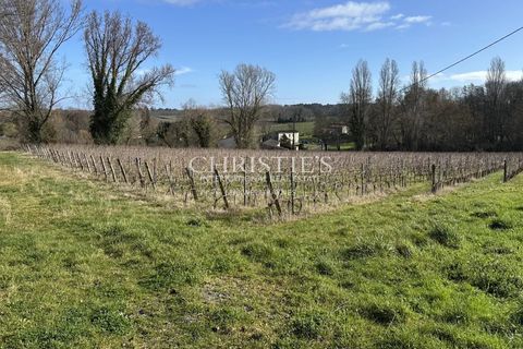 Villa i Lussac, Gironde, Lussac - € 1.290.000 | Ref: XR1092 - foto 9