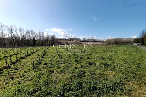 Villa i Lussac, Gironde, Lussac - € 1.290.000 | Ref: XR1092 - foto 15