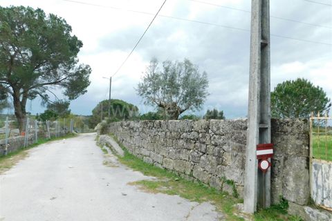 Helårsgrund i Seia, Guarda, Seia - € 44.000 | Ref: 382250040 - foto 3