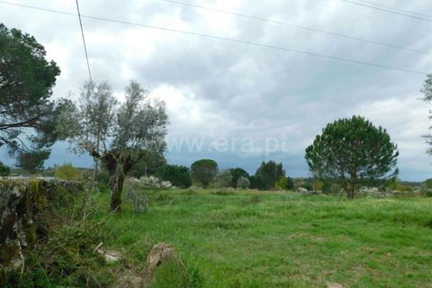 Helårsgrund i Seia, Guarda, Seia - € 44.000 | Ref: 382250040 - foto 4