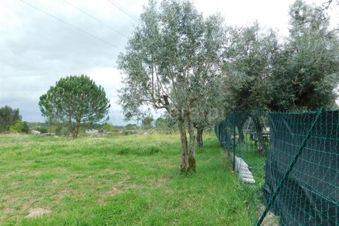 Helårsgrund i Seia, Guarda, Seia - € 44.000 | Ref: 382250040 - foto 5
