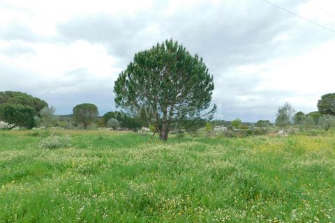 Helårsgrund i Seia, Guarda, Seia - € 44.000 | Ref: 382250040 - foto 6