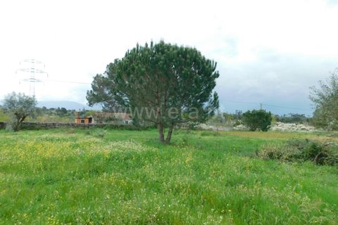 Helårsgrund i Seia, Guarda, Seia - € 44.000 | Ref: 382250040 - foto 7