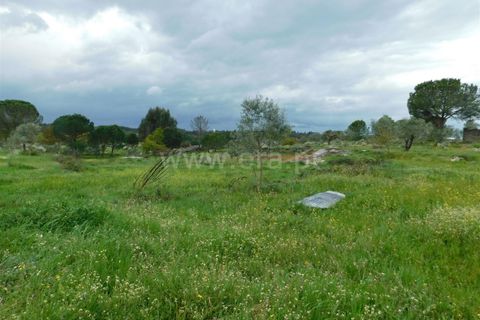 Helårsgrund i Seia, Guarda, Seia - € 44.000 | Ref: 382250040 - foto 8