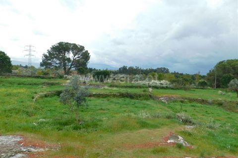 Helårsgrund i Seia, Guarda, Seia - € 44.000 | Ref: 382250040 - foto 9