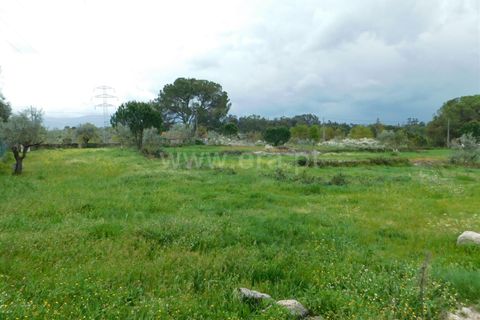 Helårsgrund i Seia, Guarda, Seia - € 44.000 | Ref: 382250040 - foto 10