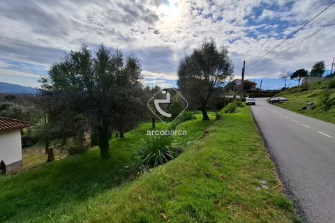Helårsgrund i Ponte de Lima, Viana do Castelo, Ponte de Lima - € 31.500 | Ref: AV6300 - foto 2