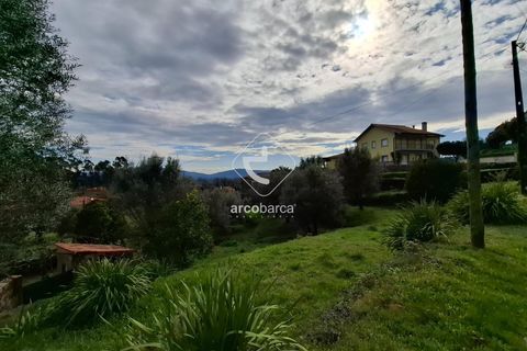 Helårsgrund i Ponte de Lima, Viana do Castelo, Ponte de Lima - € 31.500 | Ref: AV6300 - foto 3