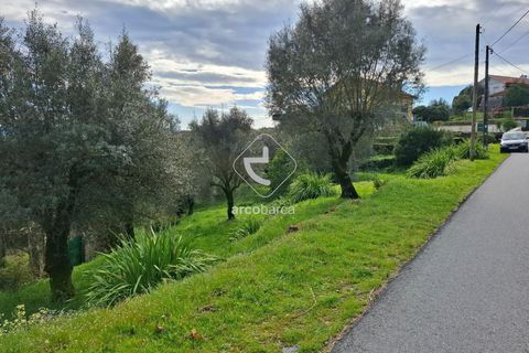 Helårsgrund i Ponte de Lima, Viana do Castelo, Ponte de Lima - € 31.500 | Ref: AV6300 - foto 4