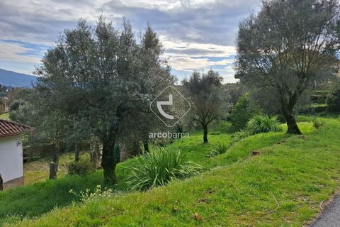 Helårsgrund i Ponte de Lima, Viana do Castelo, Ponte de Lima - € 31.500 | Ref: AV6300 - foto 5