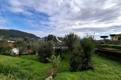 Helårsgrund i Ponte de Lima, Viana do Castelo, Ponte de Lima - € 31.500 | Ref: AV6300 - foto 6