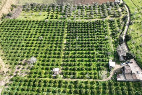 Villa i Noto, Siracusa, Noto - € 220.000 | Ref: AS 19 - foto 1