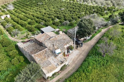 Villa i Noto, Siracusa, Noto - € 220.000 | Ref: AS 19 - foto 2