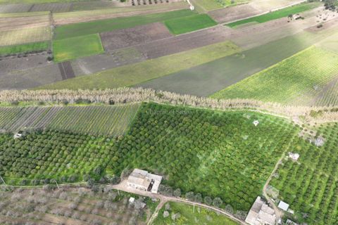Villa i Noto, Siracusa, Noto - € 220.000 | Ref: AS 19 - foto 4