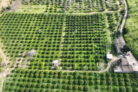Villa i Noto, Siracusa, Noto - € 220.000 | Ref: AS 19 - foto 8