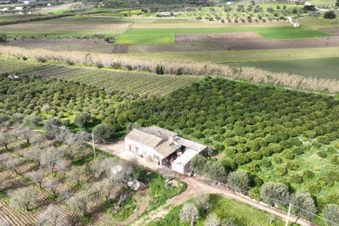 Villa i Noto, Siracusa, Noto - € 220.000 | Ref: AS 19 - foto 14