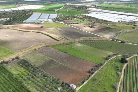 Villa i Noto, Siracusa, Noto - € 220.000 | Ref: AS 19 - foto 15