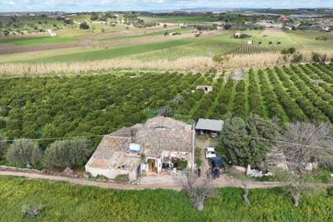 Villa i Noto, Siracusa, Noto - € 220.000 | Ref: AS 19 - foto 16