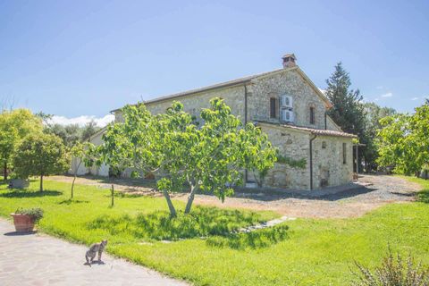 Farm hus i Cinigiano, Grosseto, Cinigiano - € 690.000 | Ref: D32-479159 - foto 6