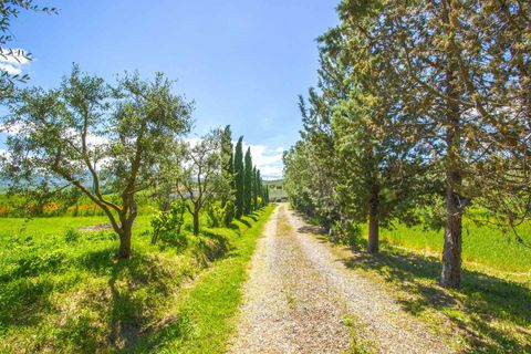 Farm hus i Cinigiano, Grosseto, Cinigiano - € 690.000 | Ref: D32-479159 - foto 23