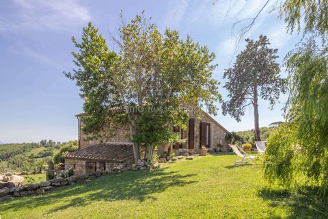 Farm hus i Montemassi, Grosseto, Montemassi - € 1.400.000 | Ref: D45-479343 - foto 30