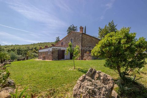 Farm hus i Montemassi, Grosseto, Montemassi - € 1.400.000 | Ref: D45-479343 - foto 32