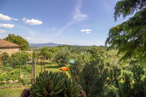 Farm hus i Montemassi, Grosseto, Montemassi - € 1.400.000 | Ref: D45-479343 - foto 33