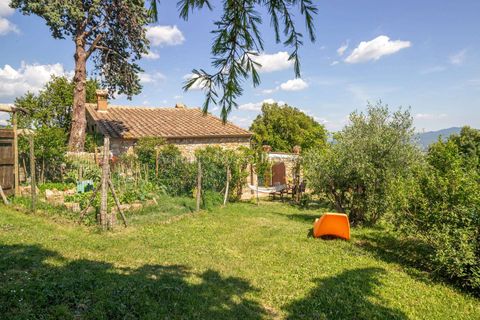 Farm hus i Montemassi, Grosseto, Montemassi - € 1.400.000 | Ref: D45-479343 - foto 34