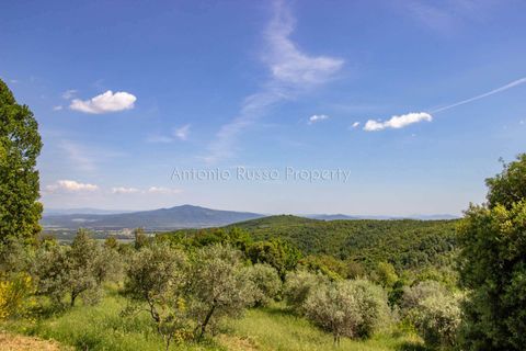 Farm hus i Montemassi, Grosseto, Montemassi - € 1.400.000 | Ref: D45-479343 - foto 36